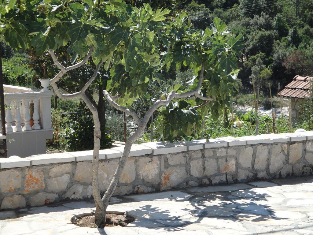 Villa Marica Neum Dış mekan fotoğraf